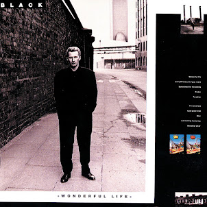 Black — Wonderful Life