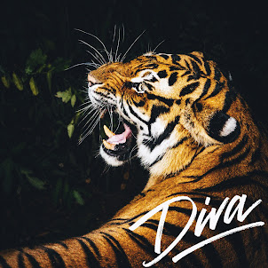 Burak Bulut — Diva