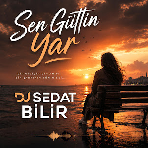 Dj Sedat Bi̇li̇r — Sen Gittin Yar