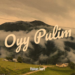 Hakan Kurt — Oyy Pulim