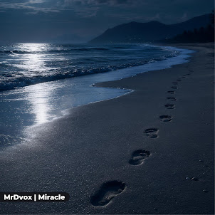 Mrdvox — Miracle