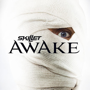 Skillet — Hero