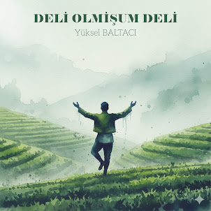Yüksel Baltacı — Deli̇ Olmi̇şum Deli̇